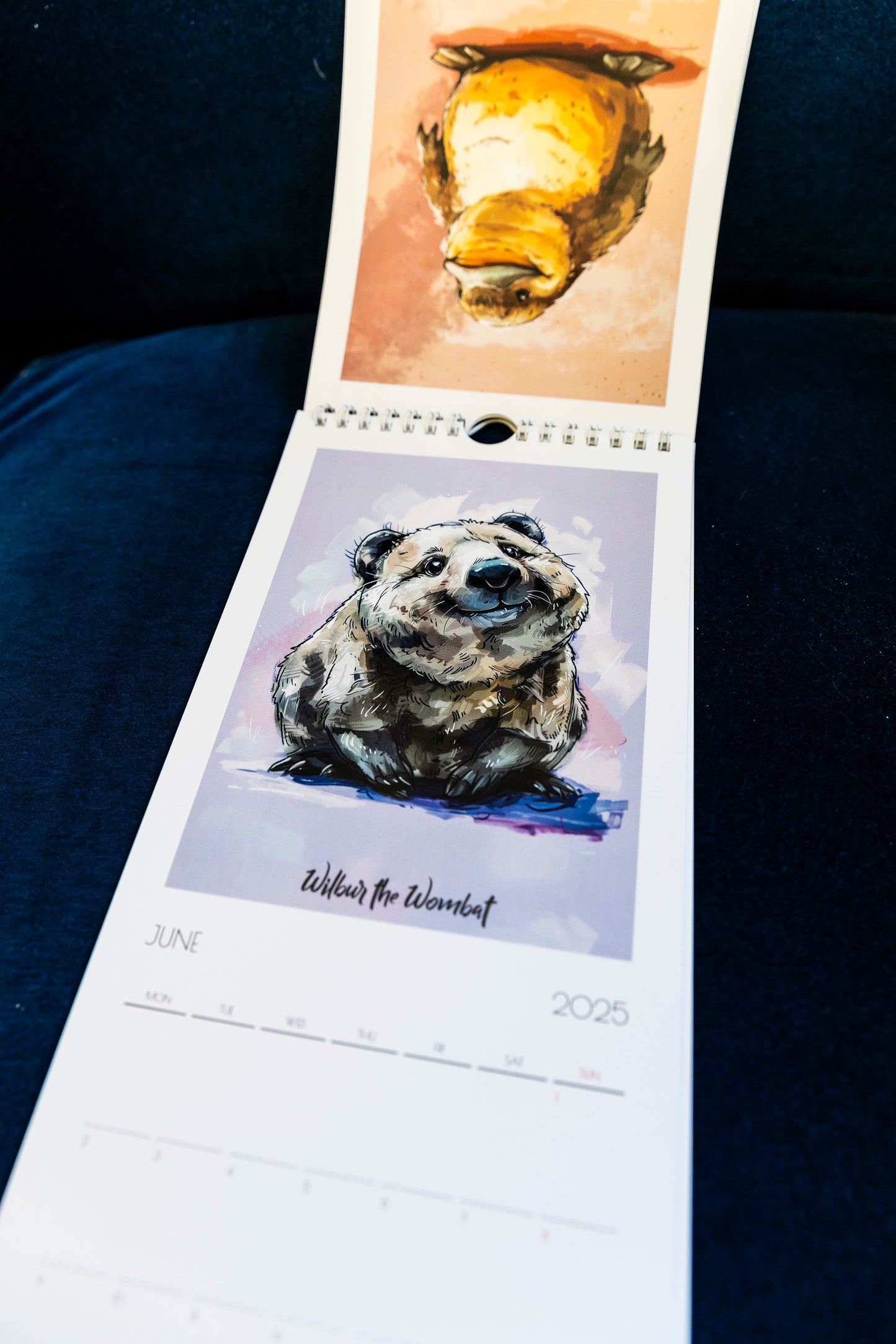 Chonkers of Australia 2025 slim wall calendar