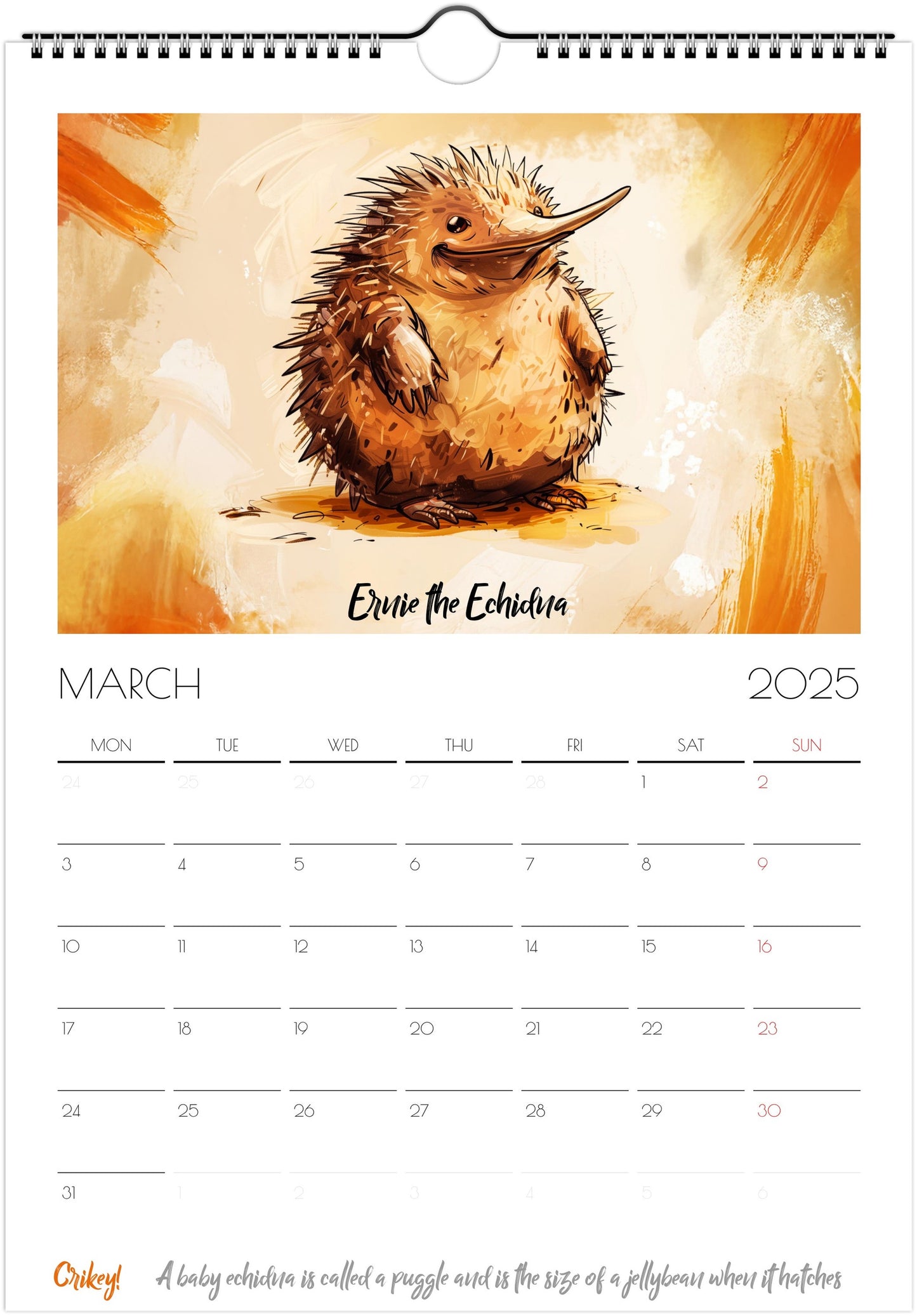 Chonkers of Australia 2025 wall calendar