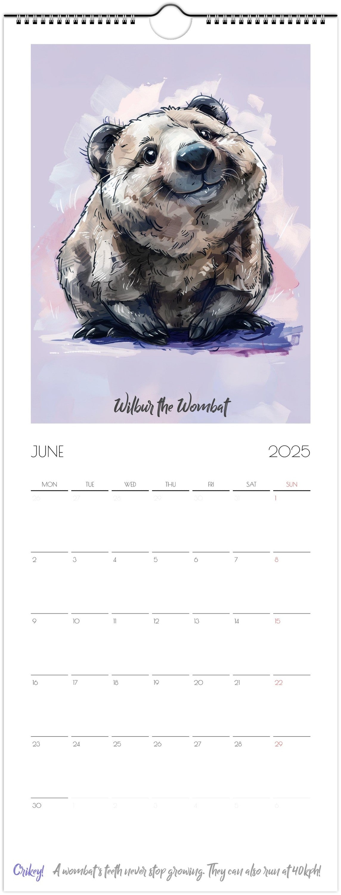 Chonkers of Australia 2025 slim wall calendar