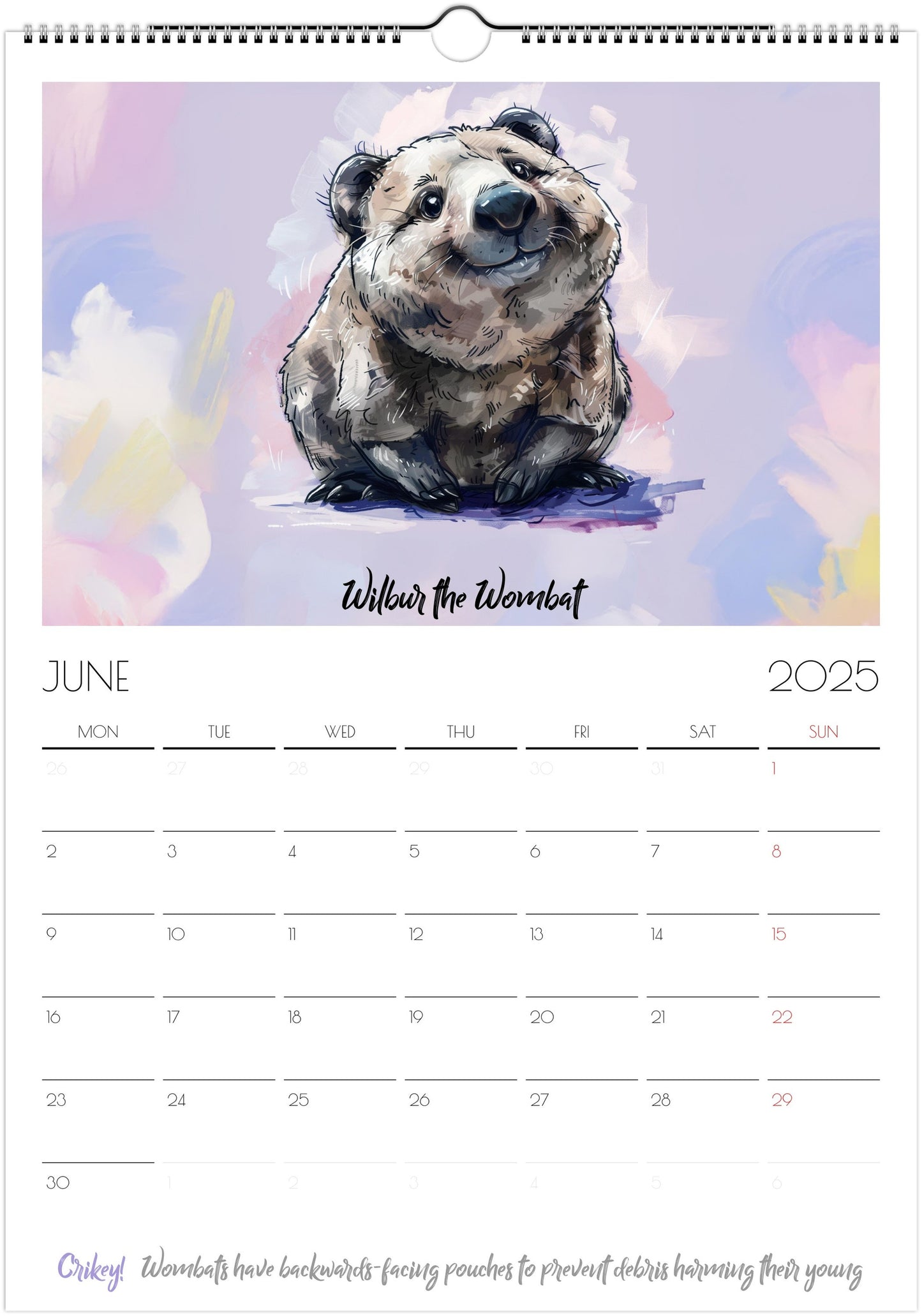 Chonkers of Australia 2025 wall calendar